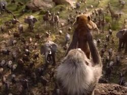 Beda Film The Lion King Zaman Old dengan Zaman Now
