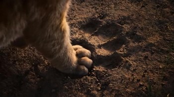 Kehidupan Simba, Mufasa, Nala, Rafiki, Scar dan lainnya akan kita saksika secara begitu nyata. (Foto: Boredpanda)
