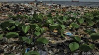 Sampah yang menumpuk di pantai tampak sudah mengeras dan menjadi daratan.