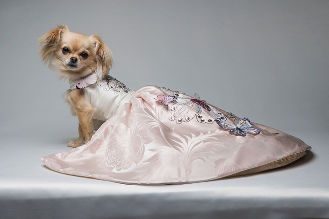 Ada detail handmade kupu-kupu berhias kristal yang menyempurnakan gaun itu. Harganya cukup fantastis yaitu Rp 86,2 juta. Foto: Dok. Furdrobe