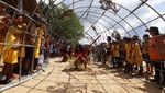 Keren! Ini Rumah Buatan untuk Terumbu Karang
