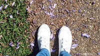Berjalan kaki di bawah naungan pohon Jacaranda pun terasa sangat menyenangkan. (Melisa/detikTravel)
