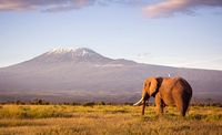 Gunung Kilimanjaro, gunung tertinggi di Afrika (iStock)