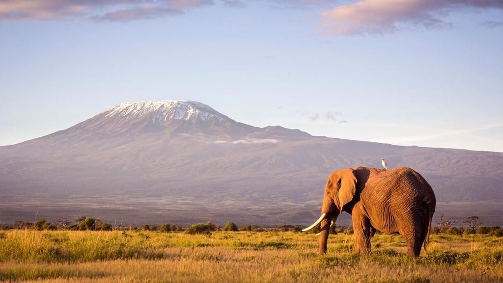 Intip Gunung Kilimanjaro yang Sudah Punya Akses Internet