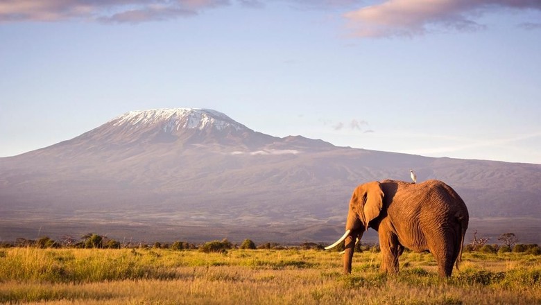 Gunung Kilimanjaro Gunung Kilimanjaro
