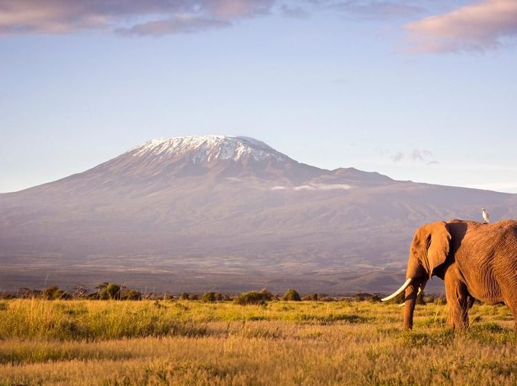 Intip Gunung Kilimanjaro yang Sudah Punya Akses Internet