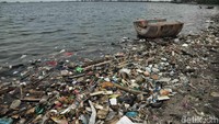 Keberadaan sampah plastik di lautan kerap tidak tertangani dengan baik, terutama karena terbawa arus sehingga tidak terangkut tenaga kebersihan di darat.