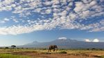 Intip Gunung Kilimanjaro yang Sudah Punya Akses Internet