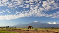 Jaringan internet ini bisa diakses hingga diketinggia 3.720 Mdpl. (iStock)