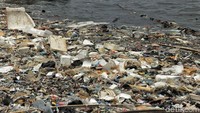 Saat ini lautan Indonesia mengalami ancaman sampah plastik di lautan. Hal ini terbukti dengan penemuan bangkai ikan paus yang perutnya dipenuhi dengan sampah plastik di Wakatobi.