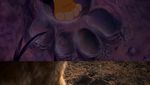 Perbandingan The Lion King Versi 1994 dan 2019