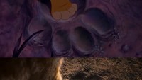 Banyak yang tak sabar menanti aksi si lucu Simba. Dok. Ist