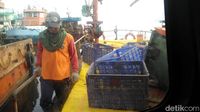Mengikuti Pembersihan Sampah di 3 Pulau Wisata Kepulauan Seribu