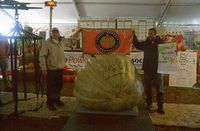 10 Makanan Ini Berhasil Pecahkan Guinness World Records