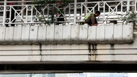 Salah seorang pekerja dari  Dinas Pertamanan dan Pemakaman Jakarta Pusat, terlihat bekerja tanpa alat pelindung keselematan, saat membersihkan tanaman di jembatan penyeberangan orang (JPO), Jalan Sudirman, Jakarta Pusat, Senin (26/11/2018).