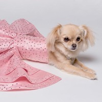 Gaun paling murah ini dibandrol dengan harga Rp 7,9 juta. Gaun berwarna pink ini punya detail layering dan payet yang indah. Foto: Dok. Furdrobe