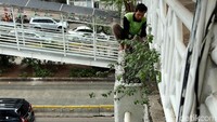 Salah satu resiko yang paling sering terjadi ketika seseorang bekerja di tempat yang tinggi tanpa alat pelindung adalah terjatuh.