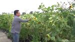 Foto: Desa Wisata Kekinian Ala Lamongan