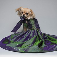 Furdrobe didirikan oleh seorang wanita bernama Rachelle Fawcett. Rachelle begitu serius membuat gaun untuk anjing, mulai dari pemilihan bahan hingga desainnya. Foto: Dok. Furdrobe