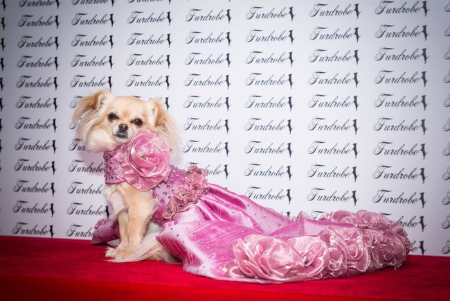 Gaun pink dengan banyak detial ini dibanderol dengan harga yang lebih mahal yaitu 4.884 Poundsterling atau sekitar Rp 91 juta. Foto: Dok. Furdrobe