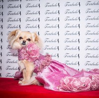 Gaun pink dengan banyak detial ini dibanderol dengan harga yang lebih mahal yaitu 4.884 Poundsterling atau sekitar Rp 91 juta. Foto: Dok. Furdrobe