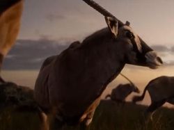 Beda Film The Lion King Zaman Old dengan Zaman Now