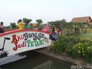 Lamongan Punya Desa Wisata Agro Kekinian