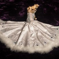 Furdrobe juga disebut-sebut membuat gaun anjing termahal di dunia yaitu Peacock Gown yang harganya mencapai Rp 742 juta. Gaun itu terbuat dari kain silk super premium dengan taburan 40.000 kristal Swarovski. Foto: Dok. Furdrobe