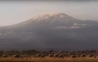 Panorama Gunung Kilimanjaro di trailer film 'The Lion King' (Youtube/Walt Disney Studios)