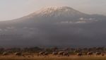 Intip Gunung Kilimanjaro yang Sudah Punya Akses Internet