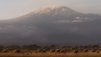 Pemerintah juga menambahkan bahwa layanan internet akan diperluas ke puncak gunung pada akhir tahun. (Youtube/Walt Disney Studios)