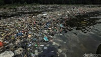 World Economic Forum pada 2016 menyatakan ada lebih dari 150 juta ton plastik di samudra planet ini.