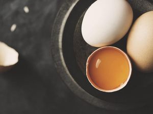 Selain Telur Ayam, Ini Telur Unggas yang Bisa Dimakan
