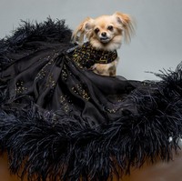 Furdrobe, sebuah brand baju couture khusus untuk anjing menyajikan desain ball gown yang mewah. Harganya mulai dari Rp 7,9 juta hingga Rp 742 juta. Foto: Dok. Furdrobe