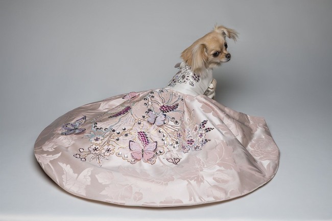 Anjing juga bisa tampil mewah dan klasik ala putri Prancis. Gaun bernama ‘Pink Belle Prelle’ ini terbuat dari kain Damask Silk produksi Prelle.  Foto: Dok. Furdrobe