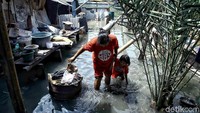 Banjir rob menerjang kawasan pemukiman nelayan di Muara Angke. Pemkot Jakarta Utara turun tangan untuk menangani banjir di kawasan itu.