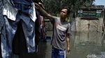 Banjir Rob Rendam Pemukiman Nelayan di Muara Angke
