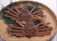 Pecahkan Rekor! Kepiting Asal Jepang Ini Dilelang Seharga Rp 256 Juta