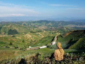Sudah Tahu? Bukit Super Cantik Ini Ada di Majalengka