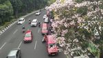 Foto: Saat Jalanan Surabaya Serasa Seperti di Jepang