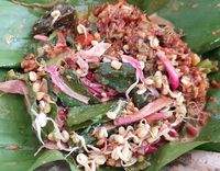 Seger Mantep Sego Pecel Khas Solo Kediri hingga Madiun Seger Mantep Sego Pecel Khas Solo Kediri hingga Madiun