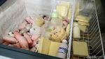 Foto: Belanja Oleh-oleh Keju dan Susu Asli Boyolali
