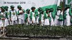 Serunya Menanam Mangrove di Pulau Pramuka
