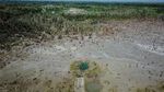 Begini Penampakan Tambang Emas Ilegal Gunung Botak yang Cemari Lingkungan