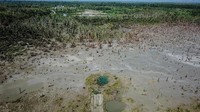Proses penambangan emas ilegal itu pun diketahui menggunakan berbagai zat berbahaya bagi manusia, diantaranya merkuri dan sianida. Akibatnya sejumlah area yang berada di sekitar kawasan pertambangan itu pun rusak berat akibat terkontaminasi zat berbahaya. Antara Foto/Rivan Awal Lingga