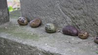 Makam Dari Abad 19 Ini Dipenuhi Kentang yang Ditinggalkan Pengunjung