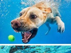 Rahasia di Balik Foto Epik yang Bikin Terperangah