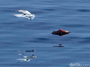 5 Bahaya Sampah Plastik, Bunda Wajib Tahu Nih