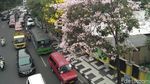 Foto: Saat Jalanan Surabaya Serasa Seperti di Jepang