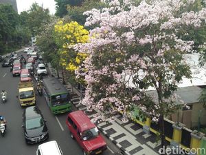 Guangzhou Award yang Diincar Surabaya dan Gengsi Kota-kota di Dunia